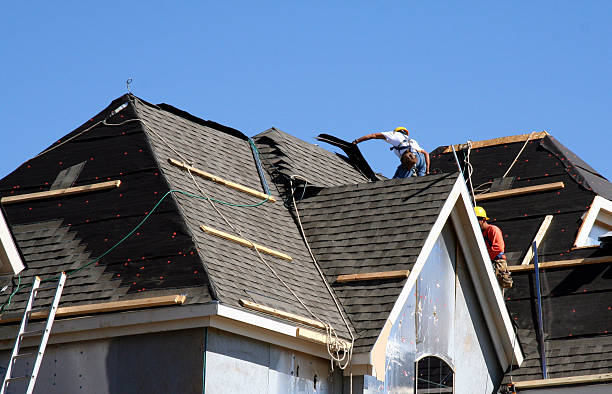 Best Green or Eco-Friendly Roofing Solutions  in Long Neck, DE